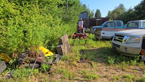 Until He Found This – STX443872MW #PlantifyLifeUS #EmotionalFind