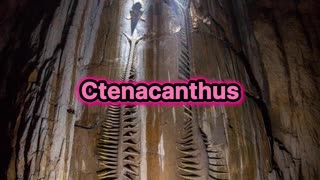 Encuentran dos fósiles en la cueva mas grande del mundo.