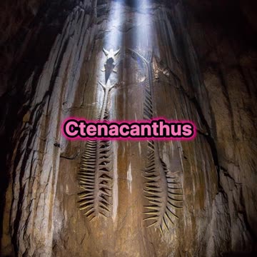 Encuentran dos fósiles en la cueva mas grande del mundo.