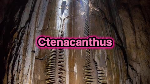 Encuentran dos fósiles en la cueva mas grande del mundo.