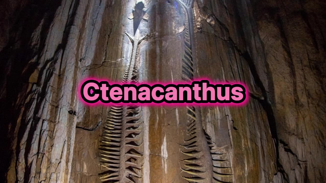 Encuentran dos fósiles en la cueva mas grande del mundo.