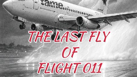 THE LAST FLY OF FLIGHT 740