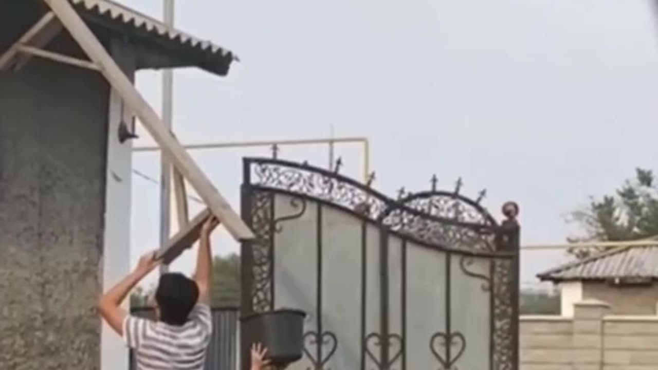 Successful rescue