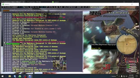Playing Final Fantasy XI Online