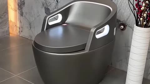 Is This the Smartest Toilet Ever Made?