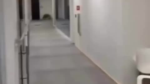 🤦🏻‍♂️😂😂