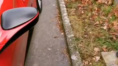 ✨💎 Experience the LUXURY of Oman’s Dream Cars! | LuxurySportsCars