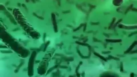 Typhoid fever is rarely considered a problem in developed countries today