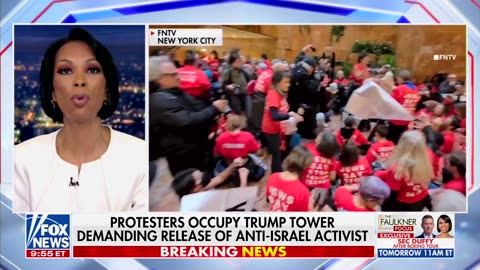 'Choosing The Chaos': Harris Faulkner Says Pro-Hamas Protesters Have Become 'A Caldron' For Dems