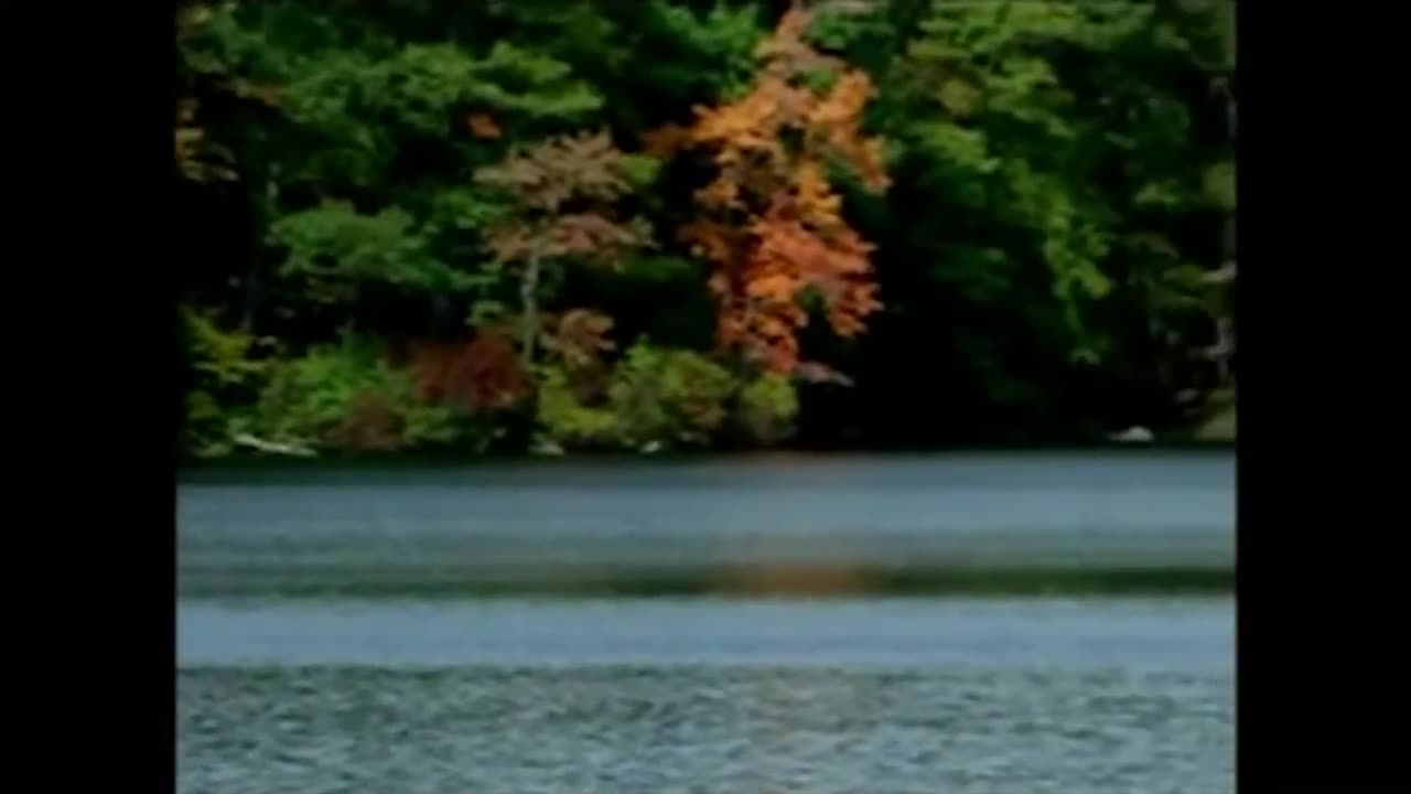 Chad Wardens Lost Interview (Preview)