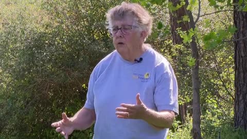 Spokane County beekeeper participating in WSU study on pollen and honeybee nutrition