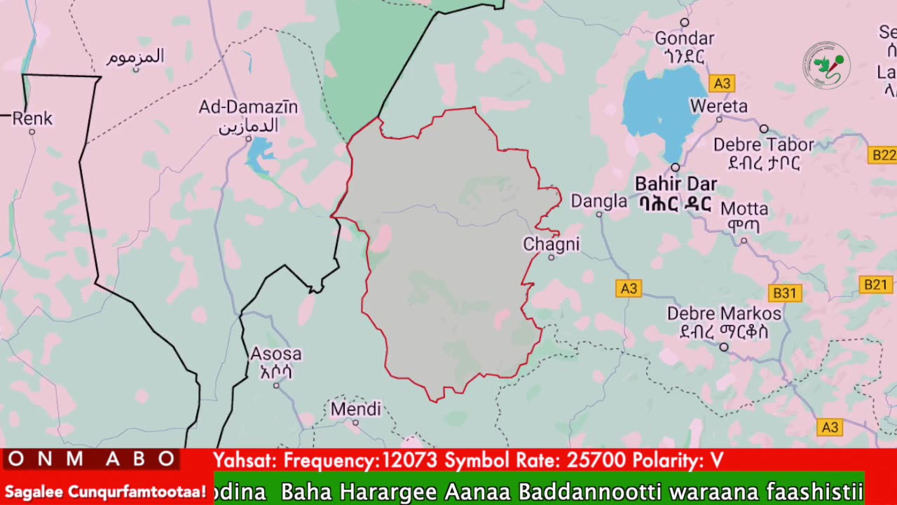 Oduu Galgala ONM-ABO Ebla 11-2025 itti dhiyaadhaa!