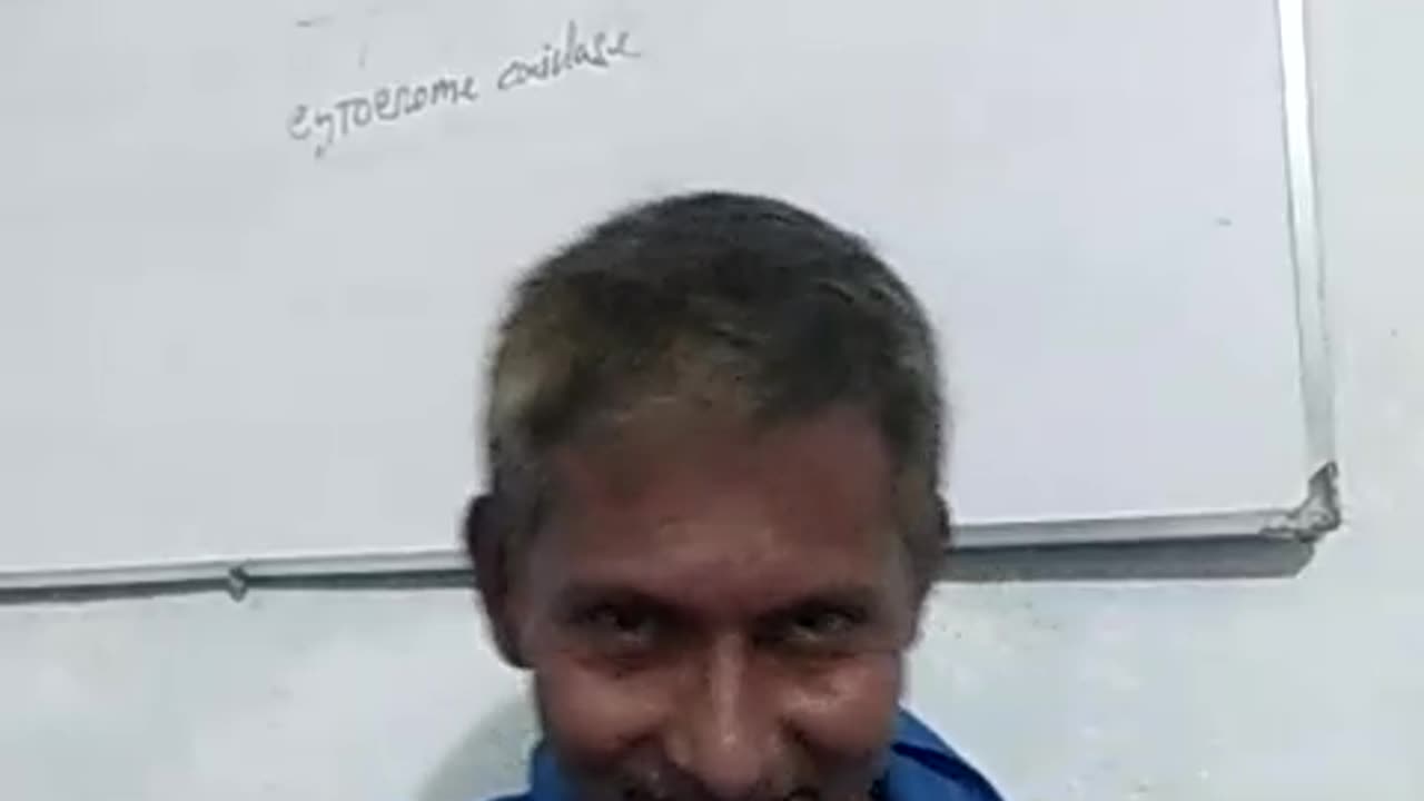 How plant root exchange ion?
