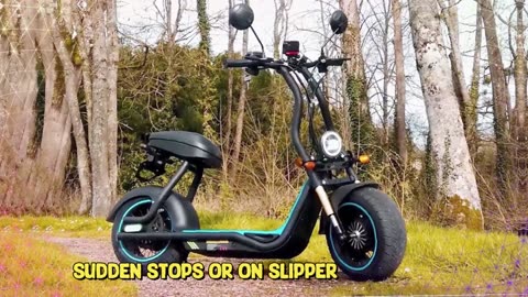 HONEY WHALE M5 MAX Electric Scooter 1000W Electric Motor 54.6V 13Ah Battery Electric Scooter
