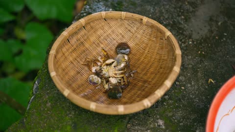 Crabbing in Mountain Streams: My Perfect Rainy Summer Day