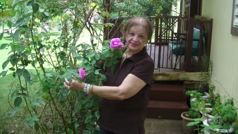 CHECK MATE NEXT TERM IN PRISON