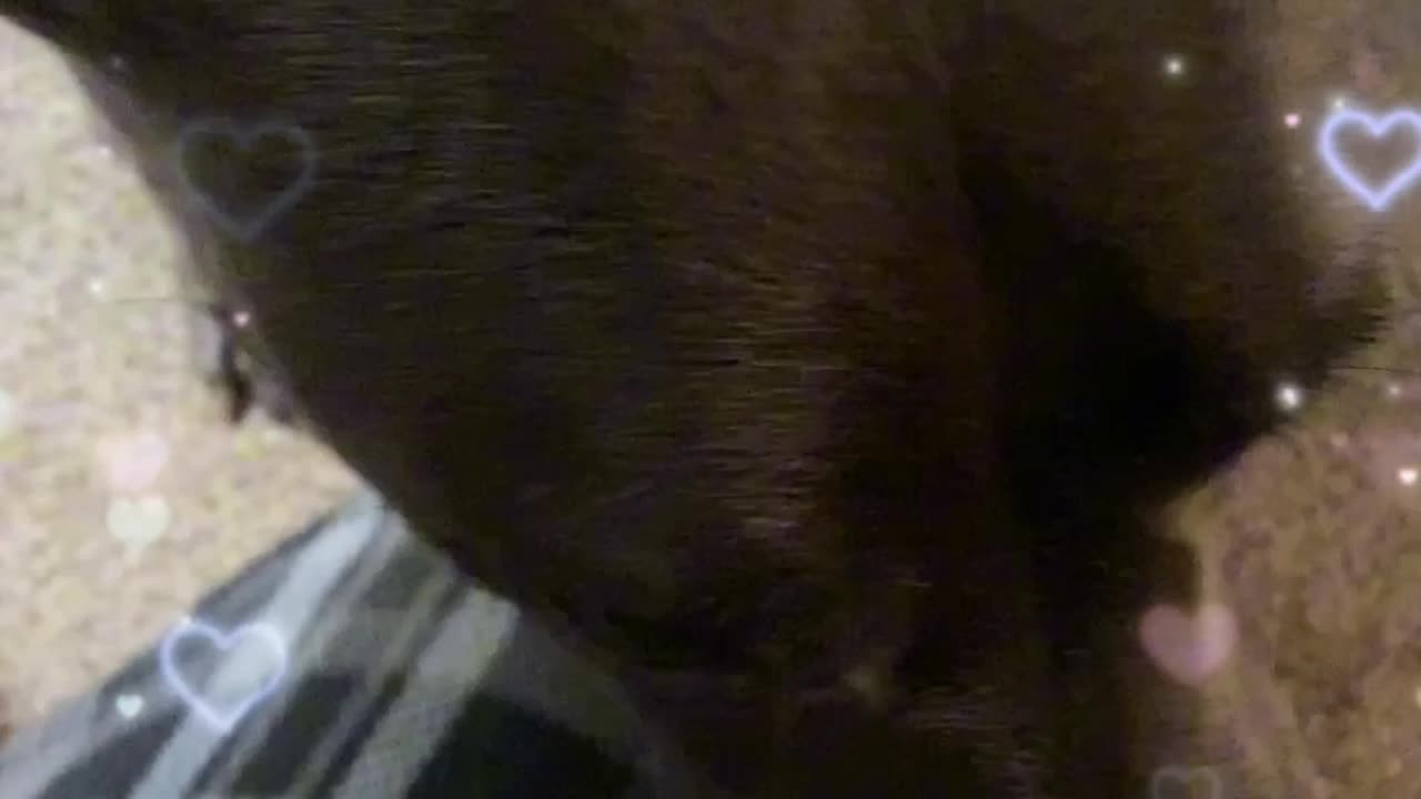 Love and kisses