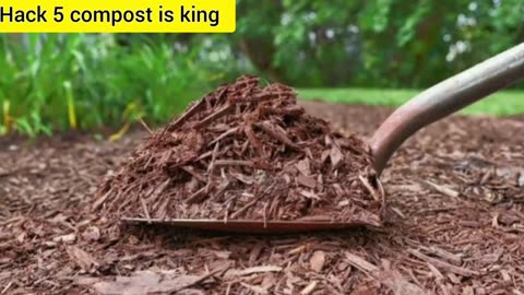 8 Effective Potato Growing Tricks