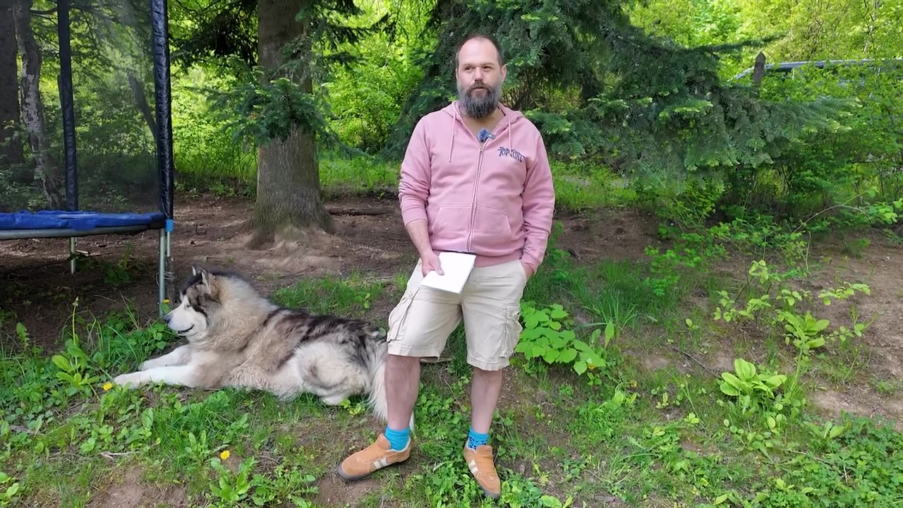 Путин: Ще доведем всичко до край. Тръмп и Путин се изказаха за бъдещето на Украйна.