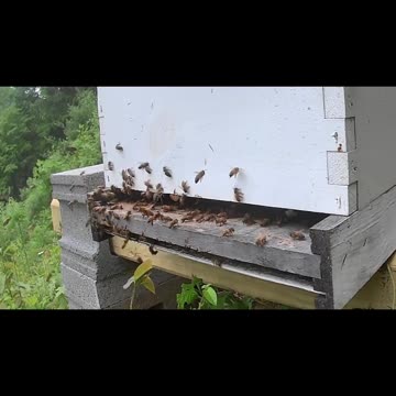 Tuesday Afternoon slow motion