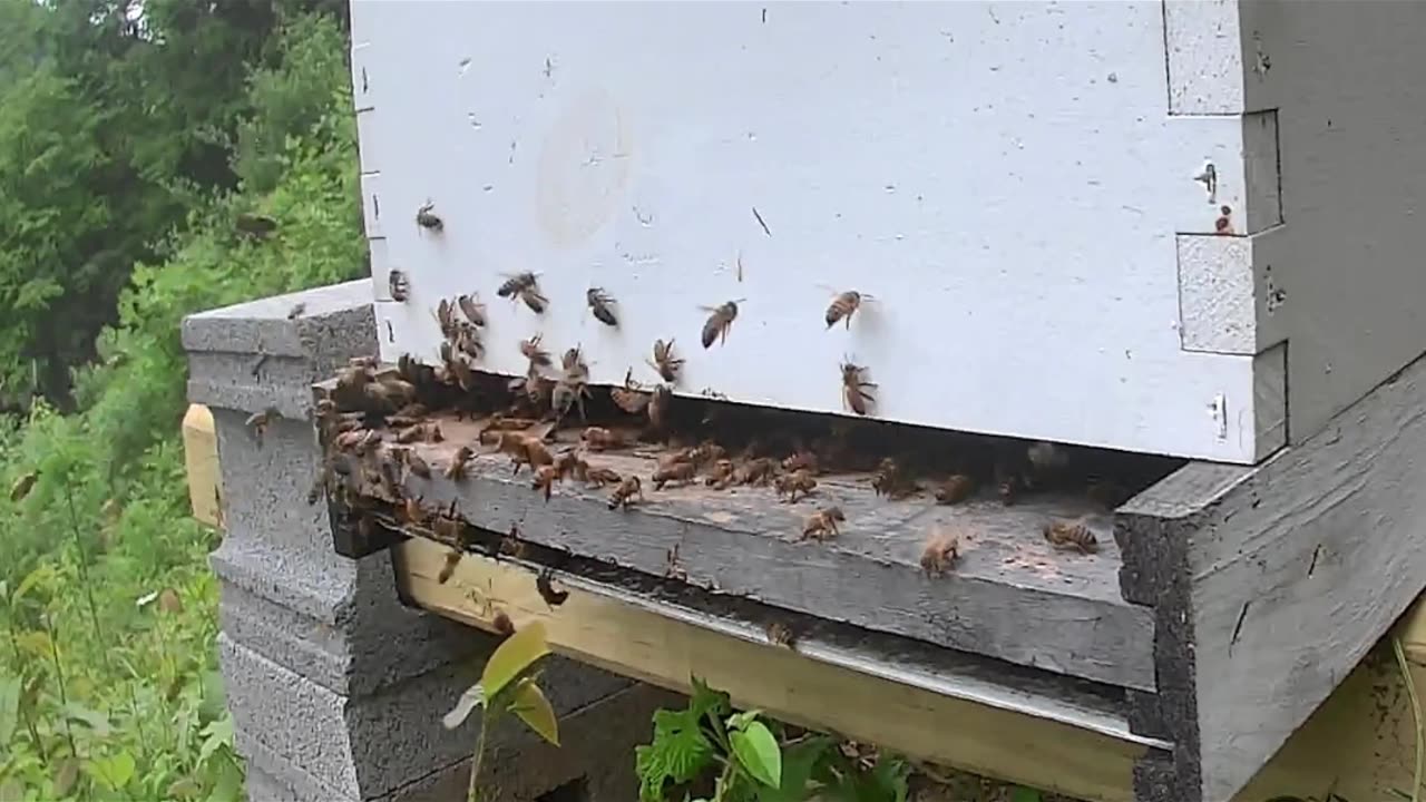 Tuesday Afternoon slow motion