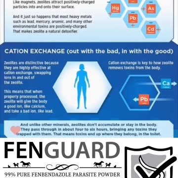 Activated Charcoal And Binders