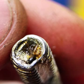 Bicycle pedal axle and bearings.