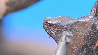 Why does the chain on a bicycle break off from the teeth of the cassette and shoot through