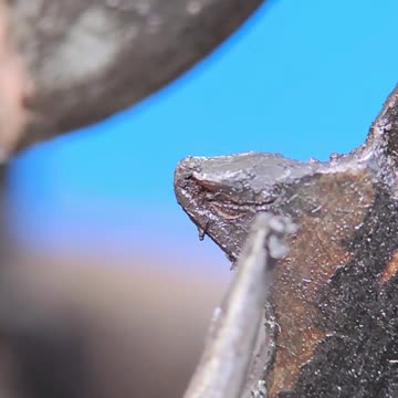 Why does the chain on a bicycle break off from the teeth of the cassette and shoot through