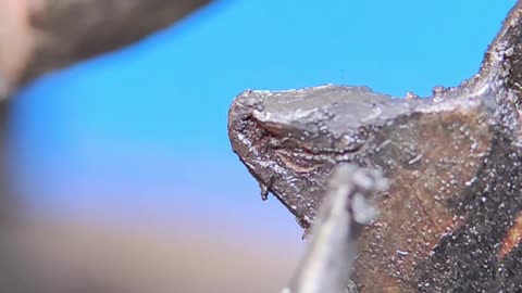 Why does the chain on a bicycle break off from the teeth of the cassette and shoot through