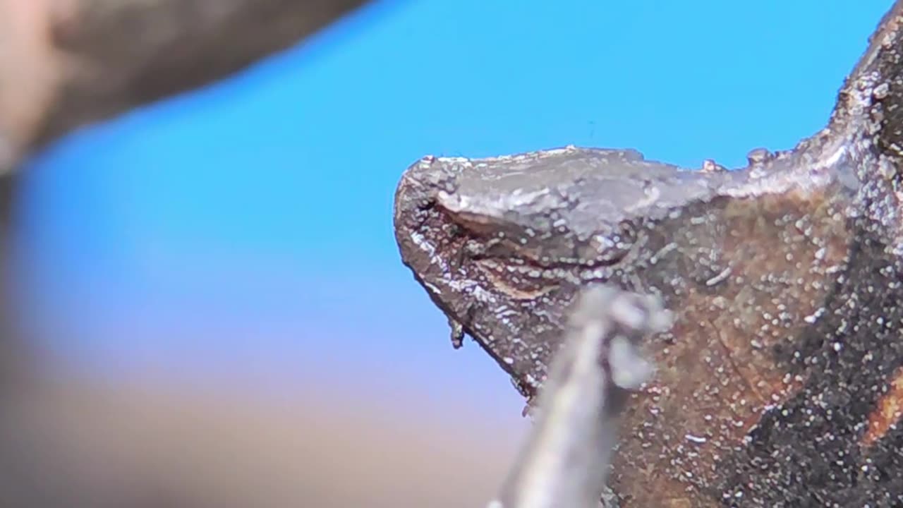 Why does the chain on a bicycle break off from the teeth of the cassette and shoot through