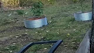 DIY Fridge Vent_ Keep Your Food Cold! Watch How!#livingoffgrid