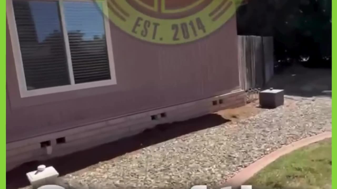 Hidden Dangers Found in Routine Rodent Check -Finley Pest Control