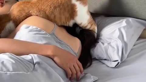 Look what this little rascal decided to do!