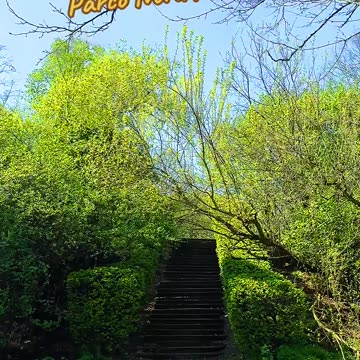 Beautiful Nature 🍀 Parco Nord Milan. #nature