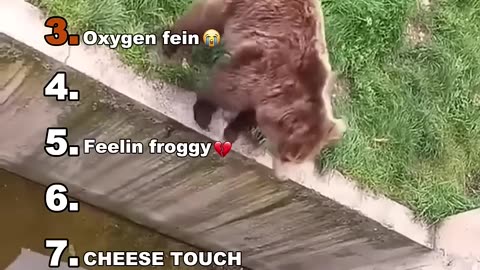 Funniest Videos!