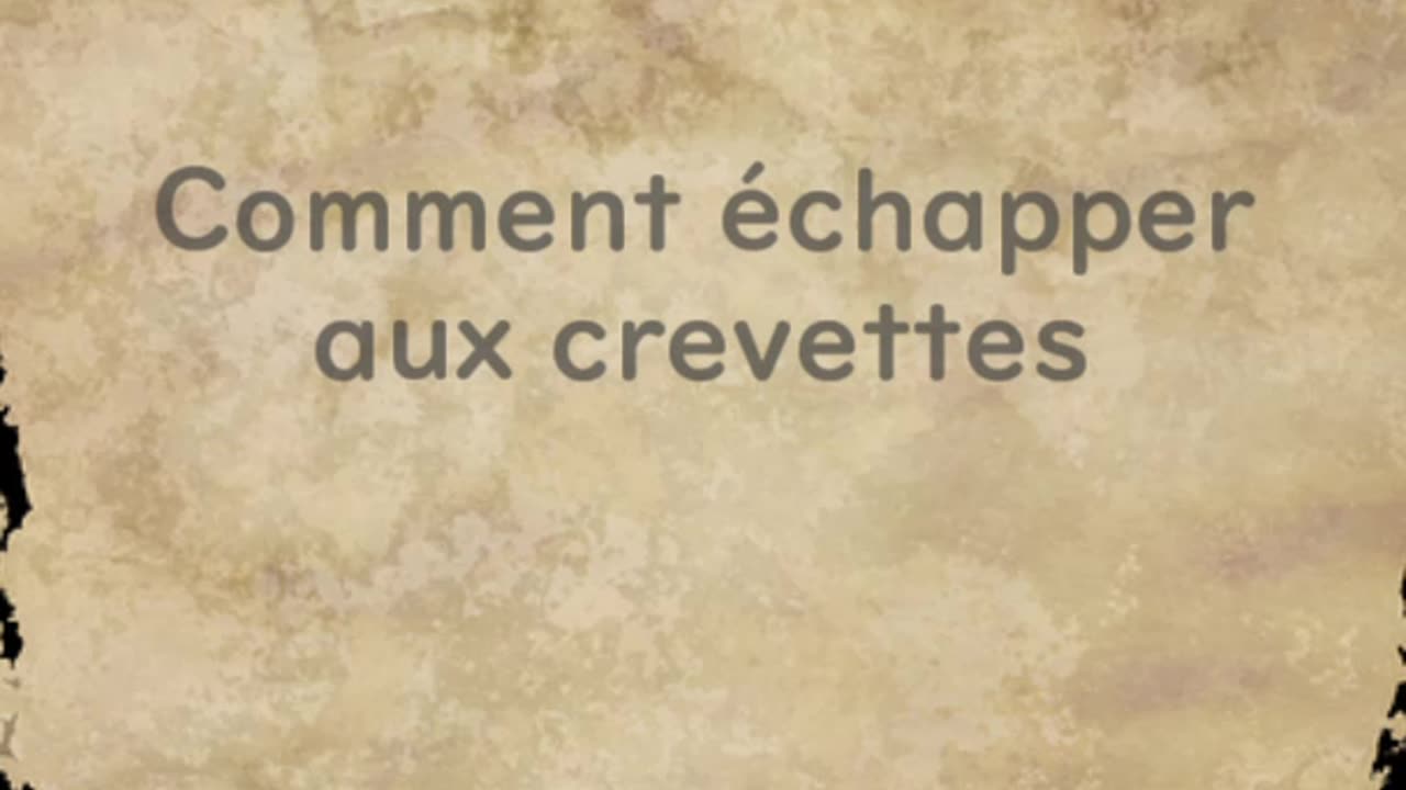 Comment échapper aux crevettes - Huhito Fables-Version française Vol.26