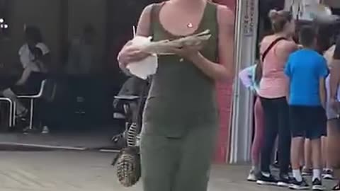 You Just Got on a Bird’s Hit List | Feathered Fury Caught on Camera