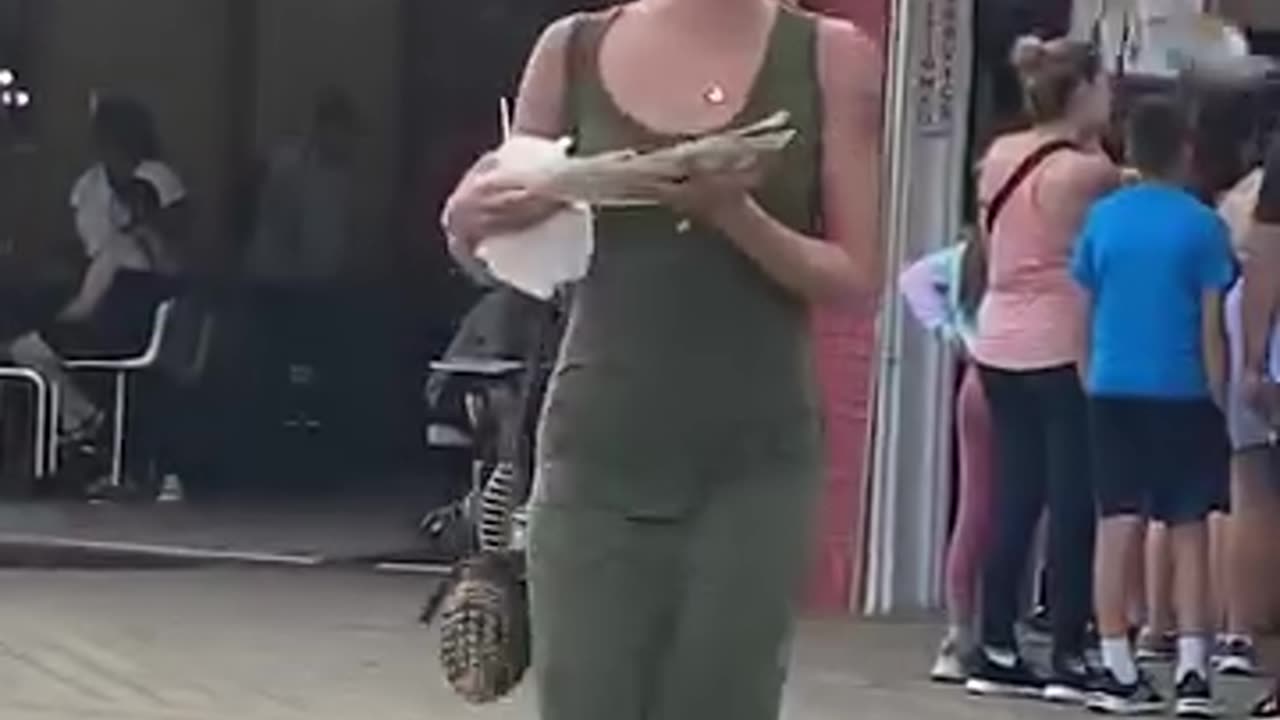 You Just Got on a Bird’s Hit List | Feathered Fury Caught on Camera