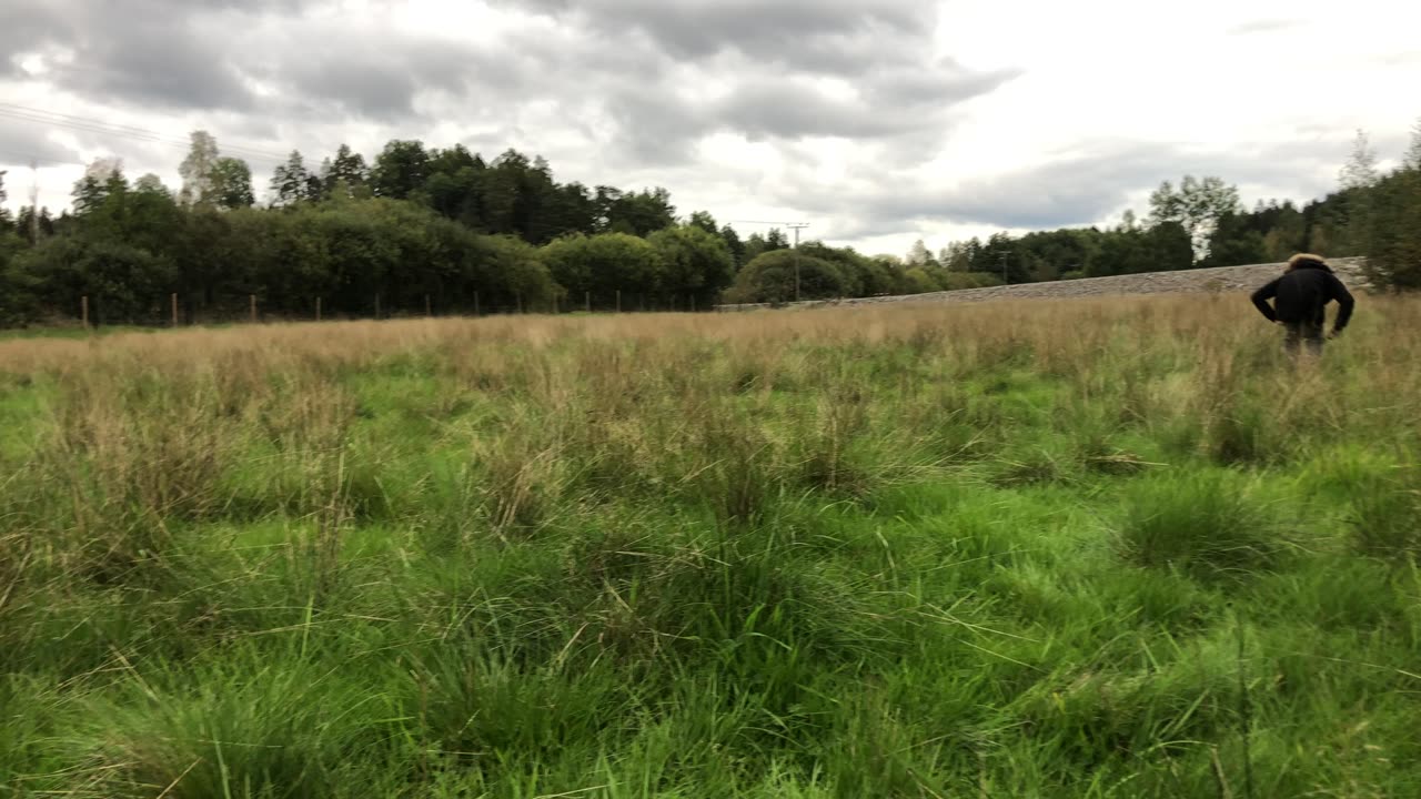 Liberty caps connection🍄