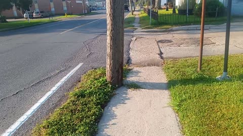 Early Morning's Walk - The Delta-Kay Productions Podcast. 