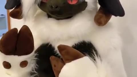 .