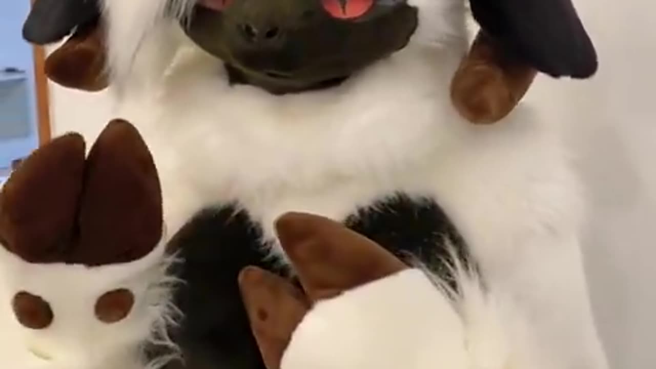 .