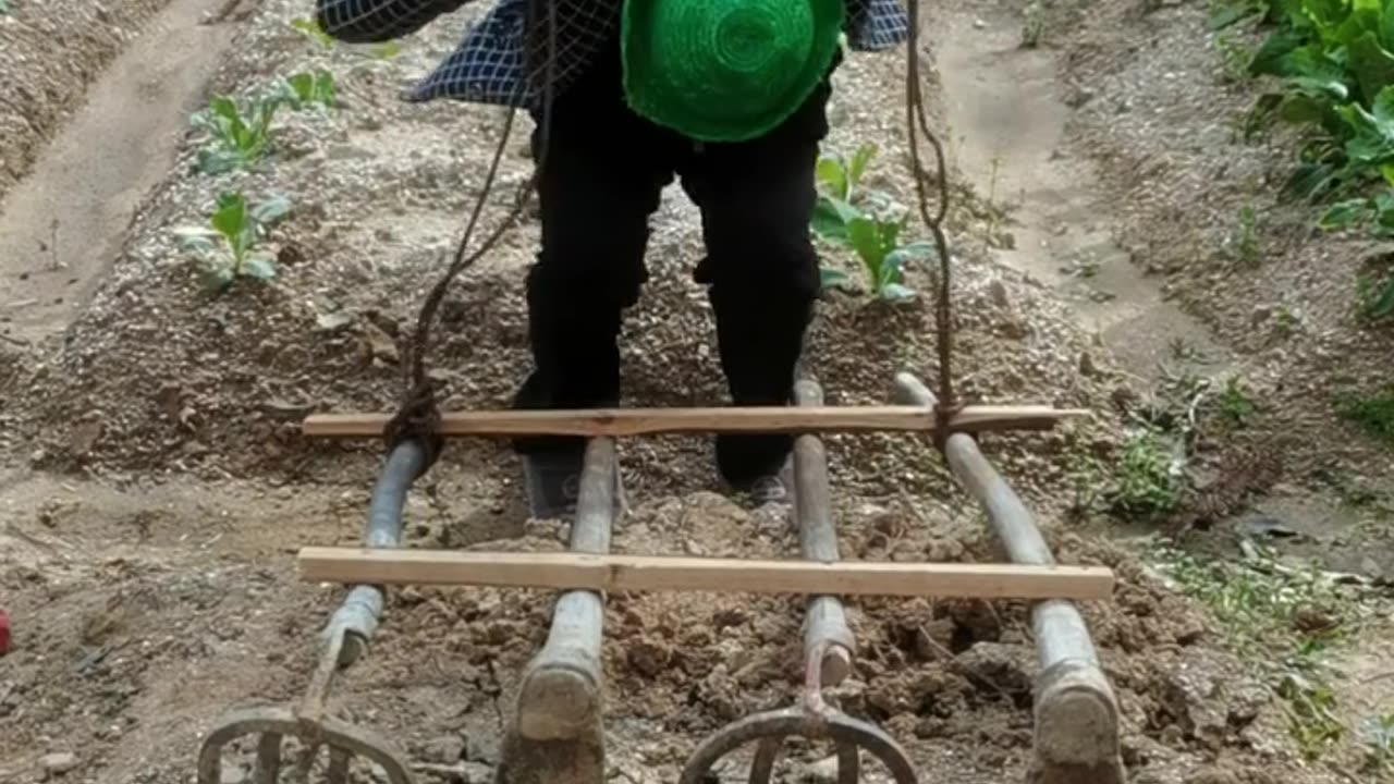 Funny video