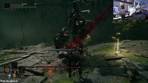 Elden ring new character