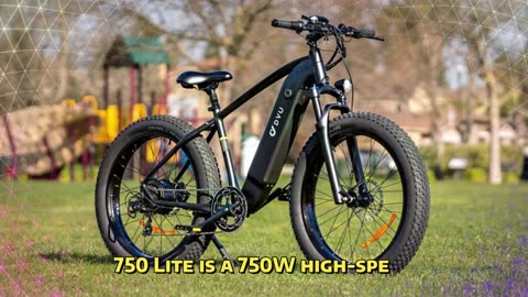 DYU King 750 Lite Electric Bike 750W motor 18AH battery 4.0 fat tire Electric Bike