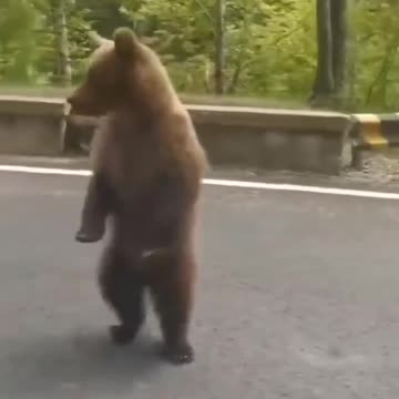 Will do tricks for food 🤣