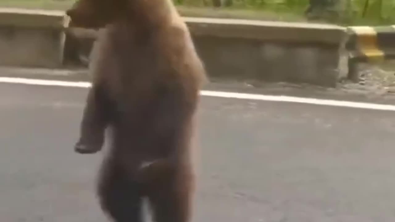 Will do tricks for food 🤣