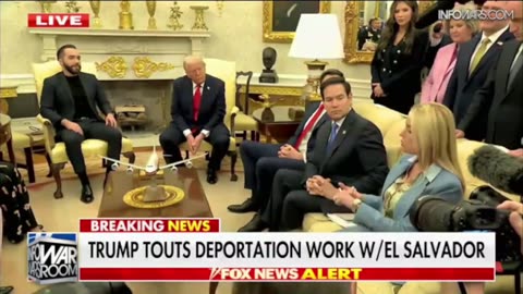 INFOWARS By INFOBEAR
