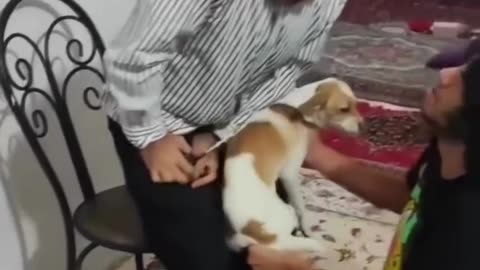 funny videos 😂😂😂